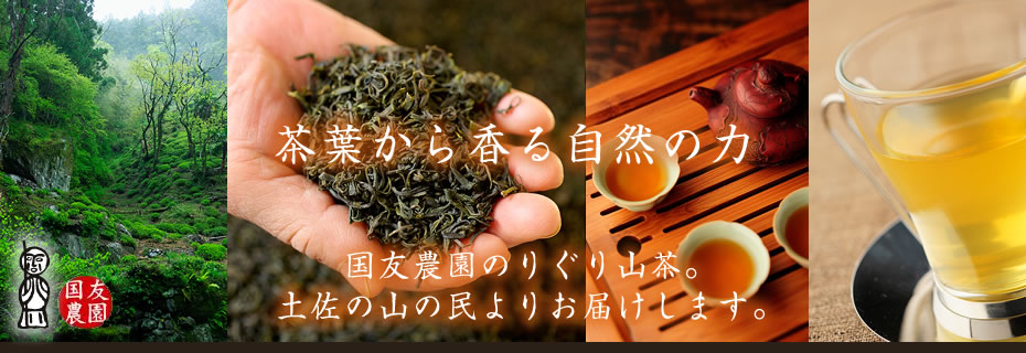 茶葉から香る自然の力